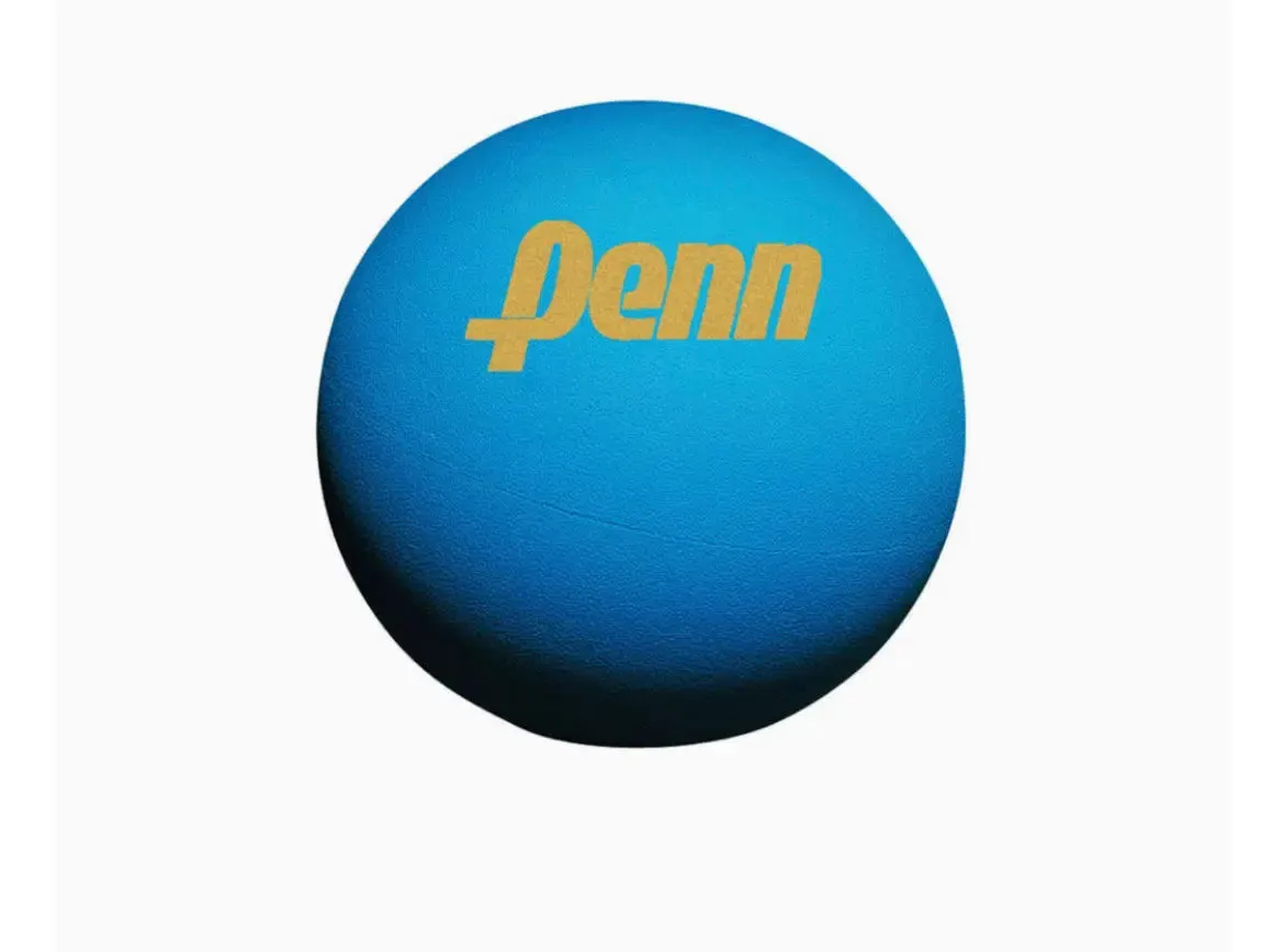 Penn Ultra-Blue Racquetballs | Handballs Giant Can